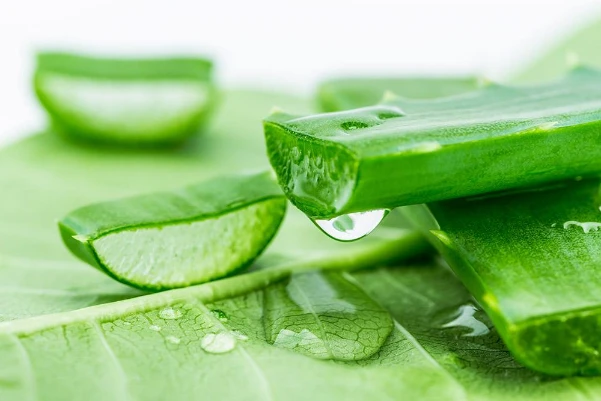 3 formulas for making masks help tighten pores at home