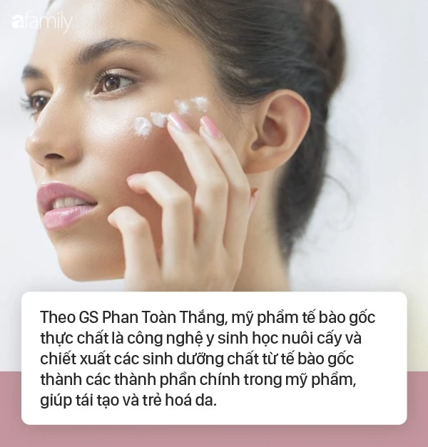 Stem cell cosmetics are storming: The leading professor of stem cells shared many things that made women surprised